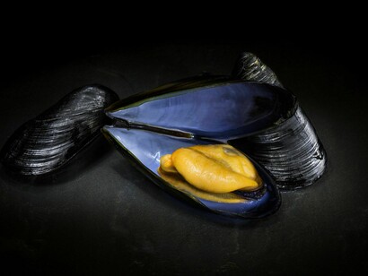 A clinging woman is called a mussel, a cozza because of the way a mussel clings to pier pilons or rocks