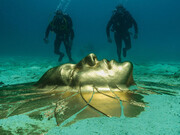 Damien Hirst. Mickey, bronzo, 2016