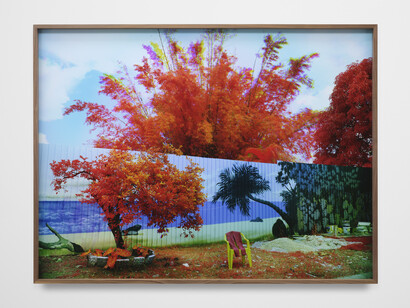 Richard Mosse, Repose, Belem, Pará, 2023, C-print, 48x64 inches. Courtesy the artist and Altman Siegel Gallery, San Francisco