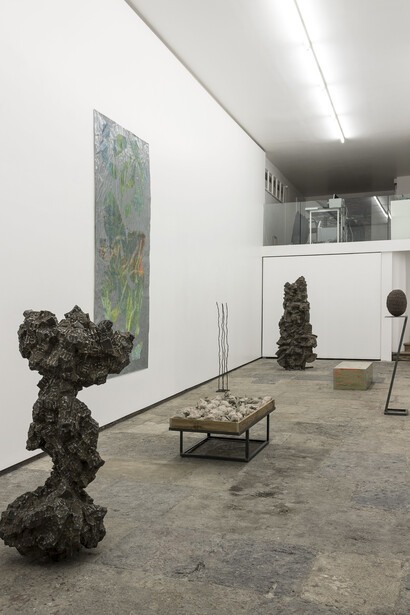 Exhibition view, I´m a mineralist, André Trindade,
Photo: João Ferro Martins. Image courtesy of the artist and 3+1 Arte Contemporânea, Lisboa.