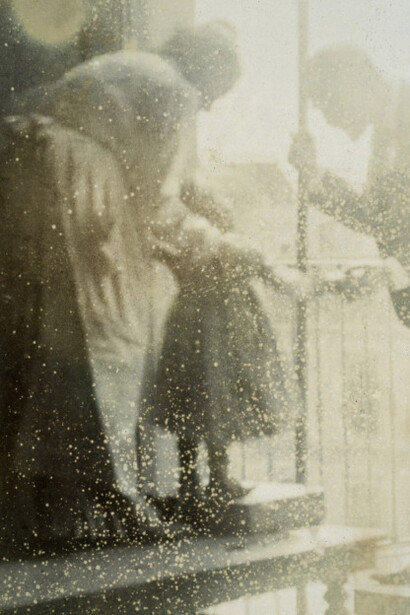 Joan Fontcuberta. Courtesy of Galería Pilar Serra