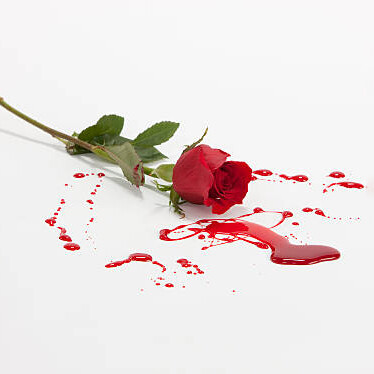 She took the cutter out of the box and stared at it