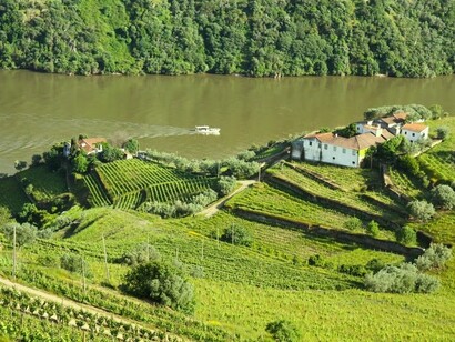 Douro Vinhateiro