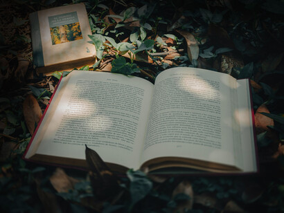 La poesía permanece entre los misterios y los descubrimientos como una fuerza espiritual que evoca y sugiere