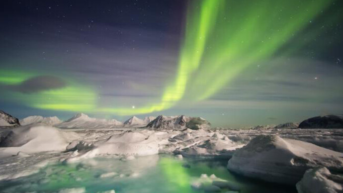 Canada Goose Arctic Gallery. Courtesy of Canadian Museum of Nature