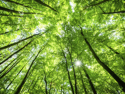 El planeta: un bien a proteger