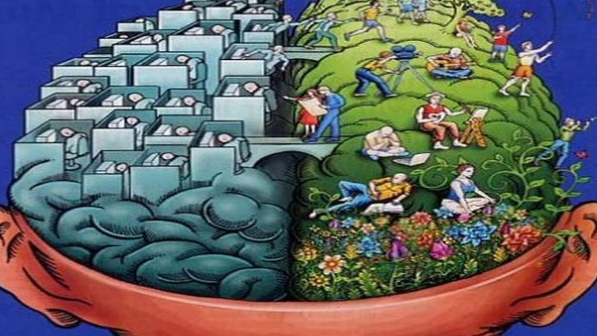 El cerebro humano y su influencia en el comportamiento