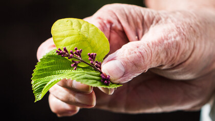 È necessario evitare la diffusione della malattia all’interno delle strutture residenziali per anziani