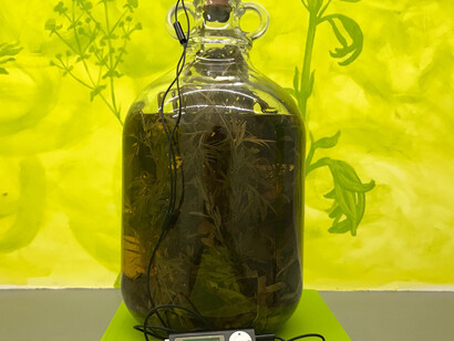 Multiplex, Exhibiton view. Courtesy of Kelder