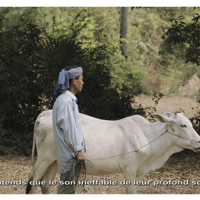 Vandy Rattana, Vidéo HD, 16/9 couleur, son, 18 min 55 s. Coproduction : Jeu de Paume, Paris, Fondation Nationale des Arts Graphiques et Plastiques et CAPC musée d'art contemporain de Bordeaux. Courtesy de l’artiste © Vandy Rattana, 2015