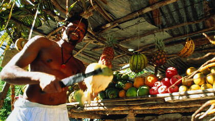 Street fruit vendor 