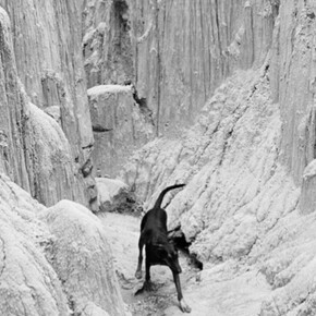 Summertime... Courtesy of Jenkins Johnson Gallery