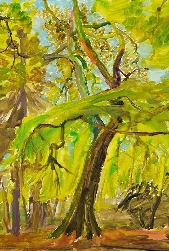 Michelle Dovey, Oak in a Beech Green Skirt 2013, oil on canvas, 30 x 24 in/76 x 61 cm