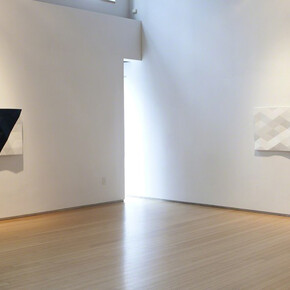 Rupert Deese. Courtesy of Nancy Hoffman Gallery