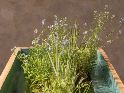 Paolina, 2017, enamelled ceramic, water and aquatic plant, oxidize iron | ceramica smaltata, acqua e piante acquatiche, ferro ossidato, 99 x 45 x 80 cm. Courtesy Galleria Continua, San Gimignano / Beijing / Les Moulins / Habana and Comune di Santa Croce sull’Arno. Photo Ela Bialkowska, OKNO studio
L’opera è il risultato della relazione tra Ornaghi & Prestinari e Consorzio Depuratore di Santa Croce sull’Arno per Out of the Box. Arte - impresa - territorio, Villa Pacchiani, Santa Croce sull'Arno, 2017 – 2018