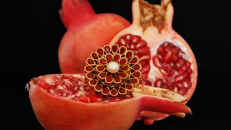 Jewel by Attia Shiraz