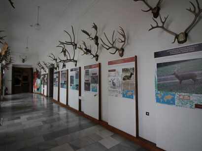 The Sallač Collection. Courtesy of National Museum of Agriculture