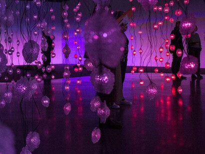 Papilotti Rist. Courtesy of MCA
