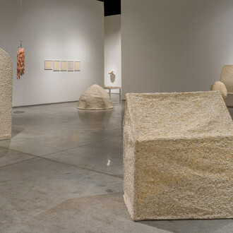 Richi Bhatia, Antevasin, the one who sits at the border of two worlds, exhibition view. Courtesy of Gallery Isabelle Van Den Eynde