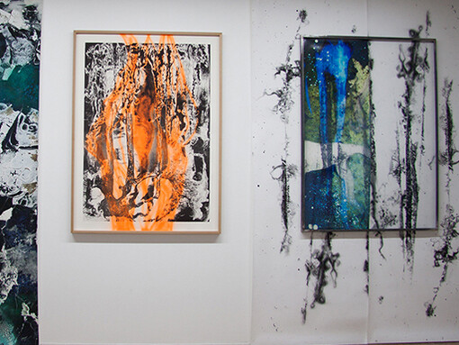 Maya Rochat, Arresting Fragments Of The World (exhibition view), Kunsthaus Langenthal, 2017