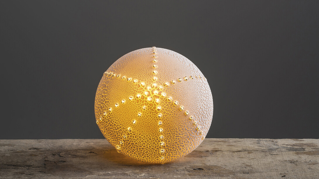 Amy Cooper, Sea urchin light