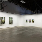 Sarah Anne Johnson, A mountain and a forest, vue de l'exposition. Avec l'aimable autorisation de la Blouin Division 