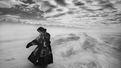 Genesi, Sebastiao Salgado