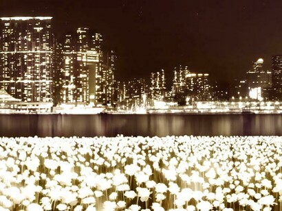 Light Rose Garden: un modelo que se exporta desde Asia