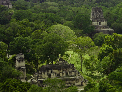 Pirámides mayas de Tikal ubicadas en la Selva de Petén, Guatemala