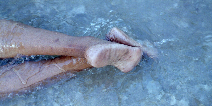 Finding Home. Courtesy of Spinello Projects