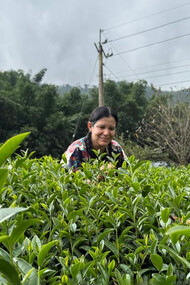 Miriam Gómez, fundadora de Caracas Tea Company, ha dedicado más de una década a la difusión de la cultura del té en Venezuela