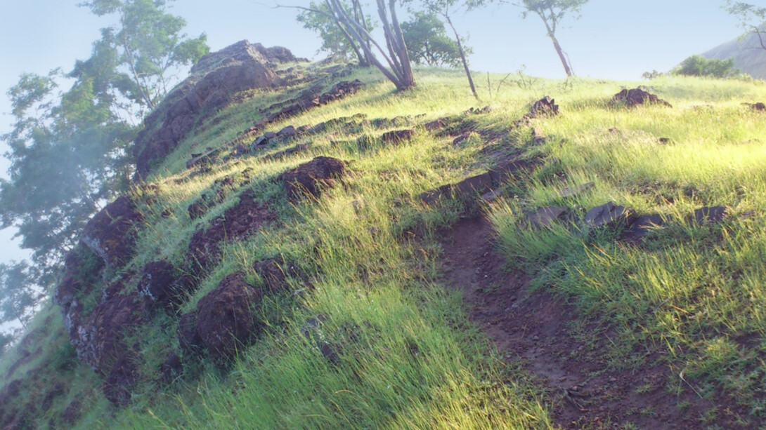 The path to the top of Seclusion Hill near Meherazad, India