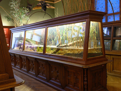 Der ordnende blick. Eine geschichtliche spurensuche, ausstellungsansicht. Mit freundlicher genehmigung des Naturhistorischen Museums Wien