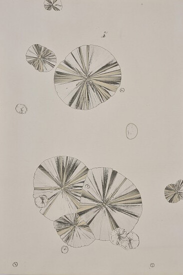 Jean-Pierre Sudre, Matériographie (detail), c. 1965-1970. Courtesy of Gitterman Gallery