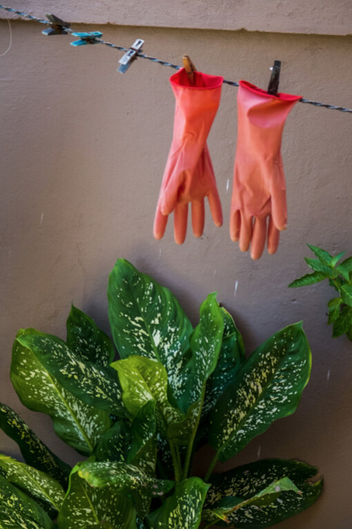 Get Your Hands Dirty. Courtesy of Soho Photo Gallery