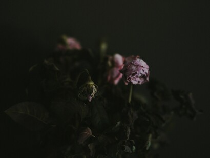 Flores marchitas