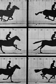 «Cavalo em movimento» (1878), Eadweard J. Muybridge