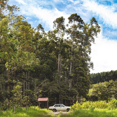 Cada uno de nosotros encontramos diferentes formas, objetos, olores e incluso miradas, en la cual nos sumergimos, paramos el tiempo