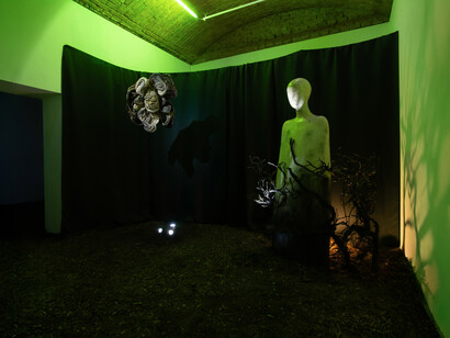 Various artists, If you're afraid of wolves, you may go to the woods, exhibition view. Courtesy of Galerie 35M2. Photo by Kristýna Opálková