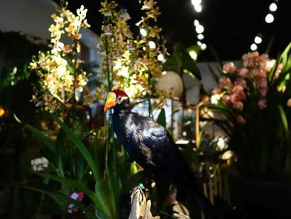 Floristería Frasen et Lafite
