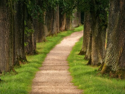 A path in the park. The souls of thousands floating around to be with everyone all at the same time and the death of a part of me