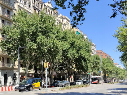 Avenida que separa la Barcelona burguesa de los barrios humildes, España. Fotografía: Paco Cerezo