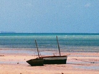 Acordo com o sol, o meu companheiro de viagem, confidente dos meus pensamentos