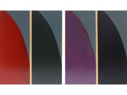 Tom Phelan, Fins III, diptych, oil on board, each 40 x 20 cm