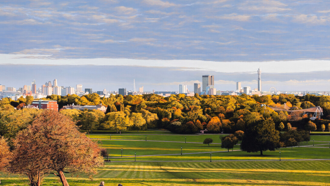 Primrose by Christian Marsh