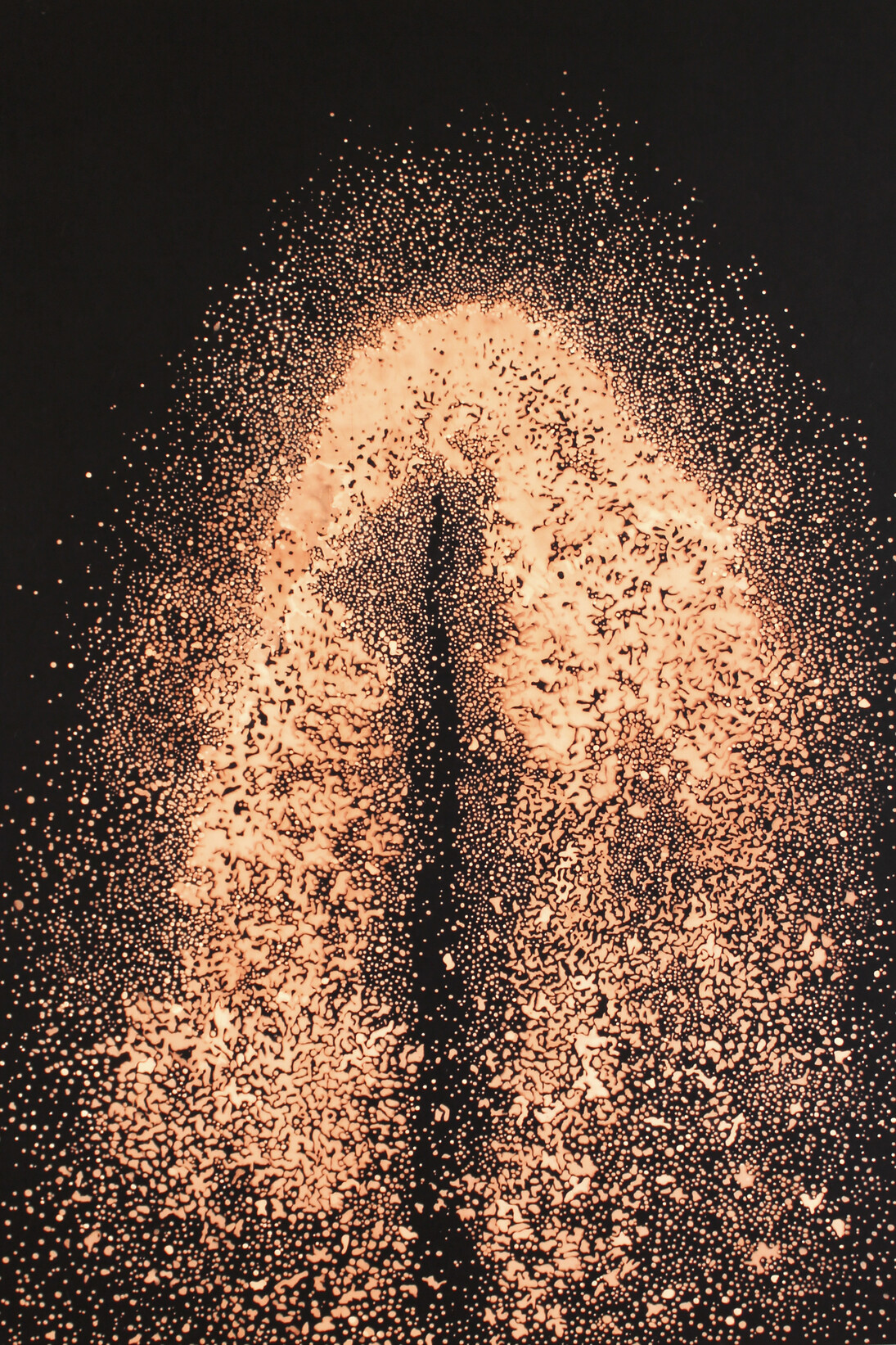 Simon Rulquin, Comet, 2015, Eau de javel sur toile teinte, 180 x 130 cm © Simon Rulquin, Courtesy : Galerie Xenon 
