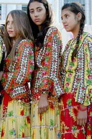 An Indo-Aryan ethnic group living mainly in Europe 