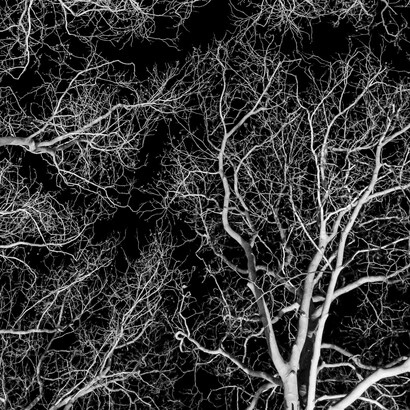 Il corpo non è un oggetto che possediamo, ma il luogo stesso attraverso cui facciamo esperienza del mondo e dell’esistenza