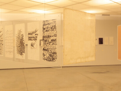 Sinais/Signals Mira Schendel. Courtesy of MAM