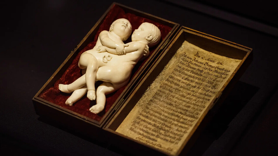 Verschiedene Künstler/innen, Bewundert, gesammelt und ausgestellt, Ausstellungsansicht. Mit freundlicher Genehmigung des Albertinum Museums